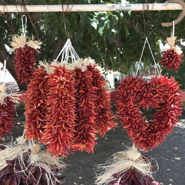 Displaying the All-Natural Chile Pequin Ristra, available in 1-foot or 2-foot options, as hanging decorative arrangements of dried red chili peppers, including bunches and a heart-shaped design, outdoors under a tree.
