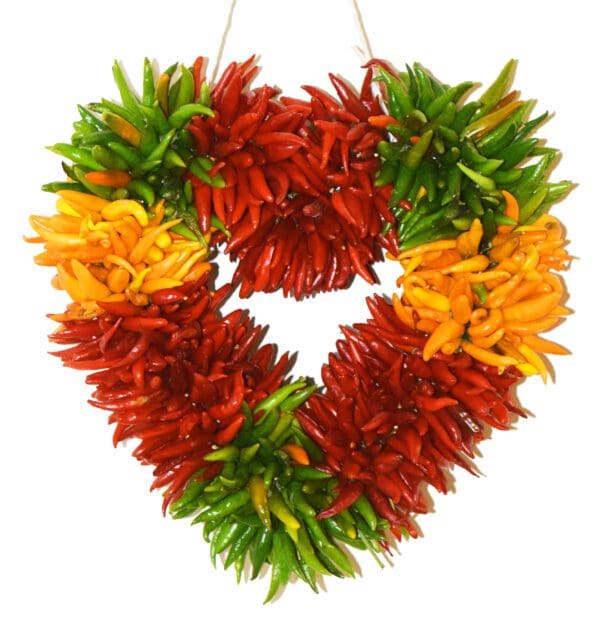 A MULTI COLORED PEQUIN CHILE PEPPER HEART WREATH, featuring an assortment of colorful chili peppers in red, green, yellow, and orange varieties, hangs on a white background.