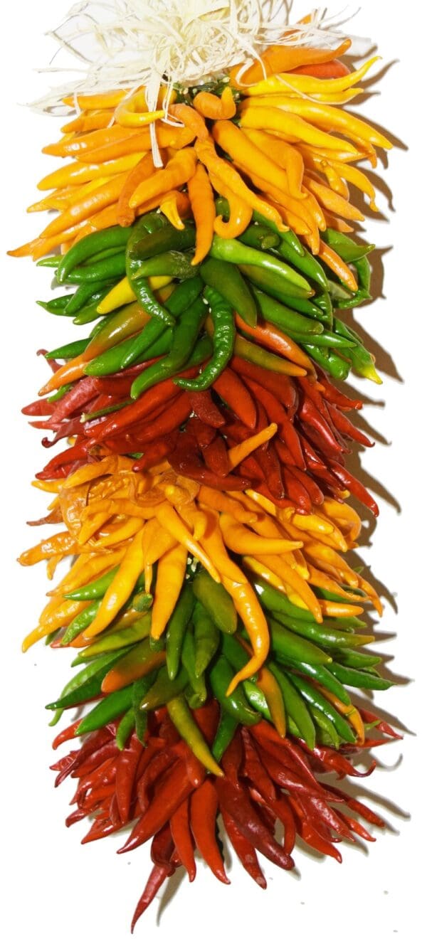 A MULTICOLORED ALL-NATURAL PEQUIN CHILE PEPPER RISTRA, available in either 1 ft. or 2 ft., featuring a vertical arrangement of assorted dried chili peppers in vibrant orange, yellow, green, and red hues.