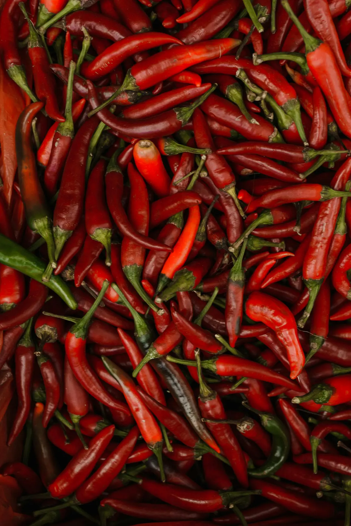 A pile of vibrant red chili peppers with one green pepper peeking out among the New Mexico chiles.