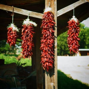 A bunch of red peppers hanging from the side of a building.