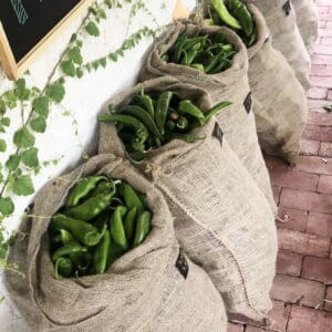 New Mexico Green Chile
