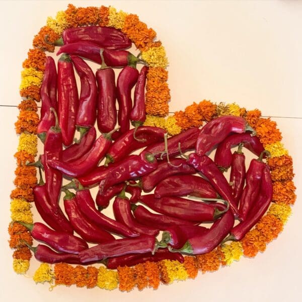 FRESH RED CHILE - IN SEASON OCTOBER 2025 ONLY - Image 3