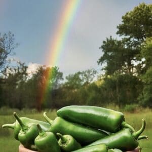 jalapenos at the end of a rainbow