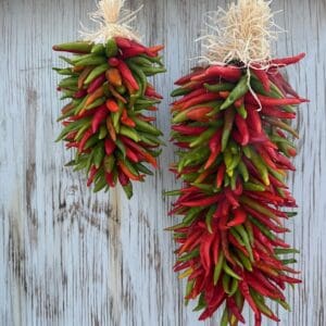 Two bunches of red and green chili peppers hanging on a wooden wall.