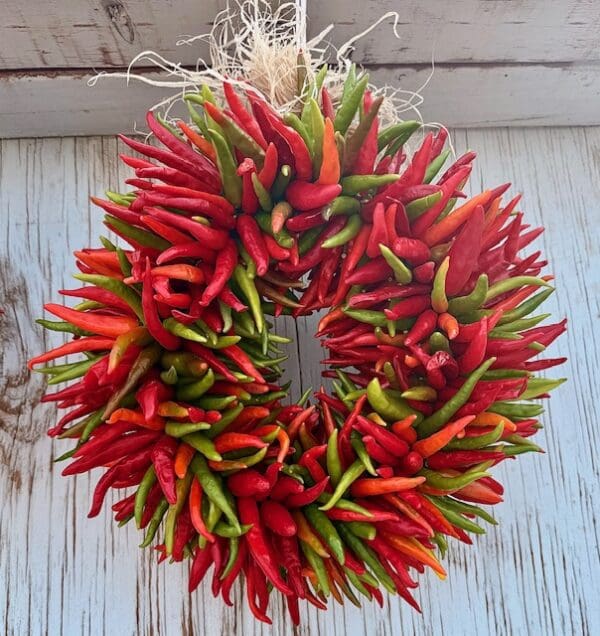 CHRISTMAS COLORS: Red and Green Fresh All Natural Pequin Chile Wreath