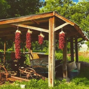 HANDMADE "MESILLA VALLEY SANDIA" RED CHILE PEPPER RISTRA