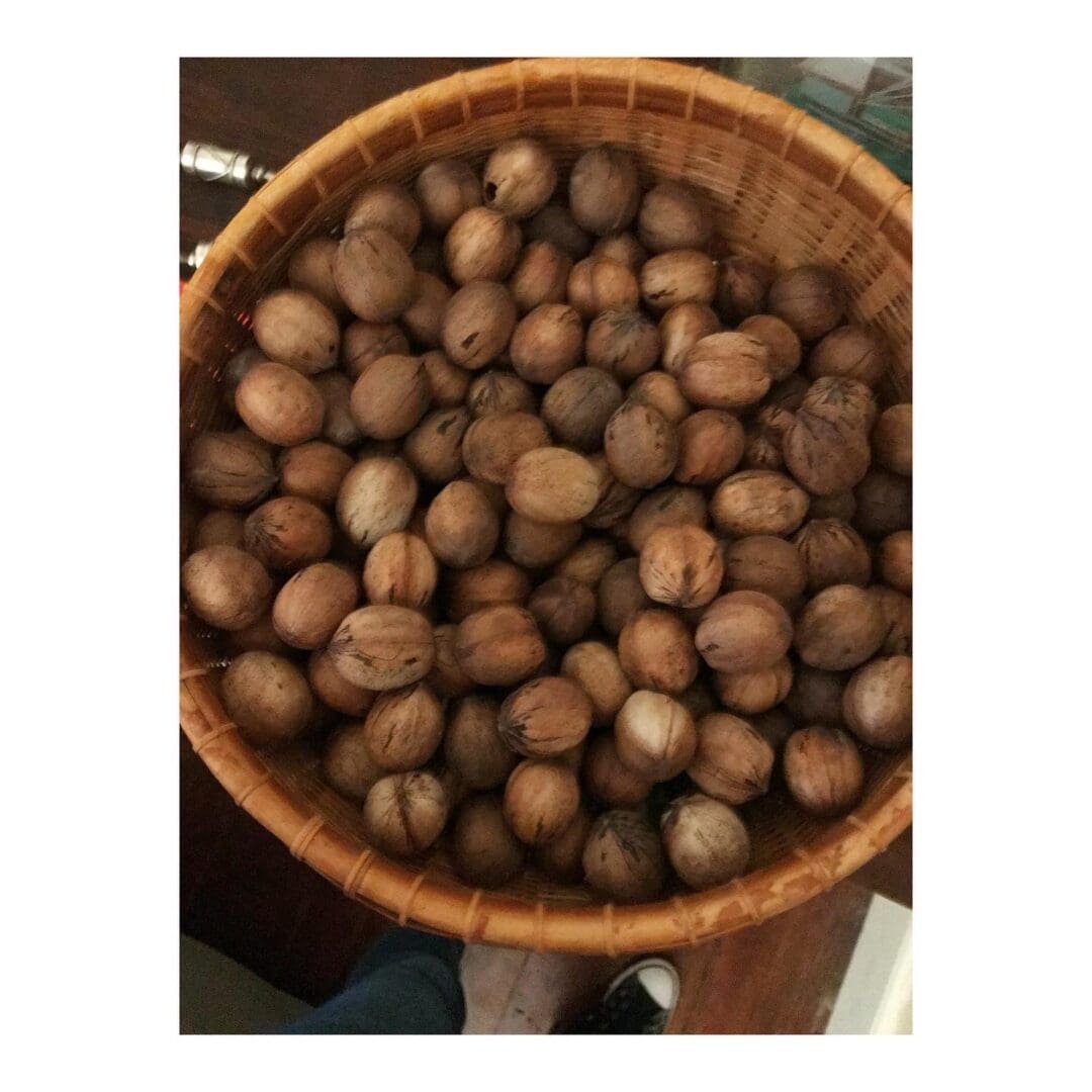 Basket filled with whole nutmegs on a surface.