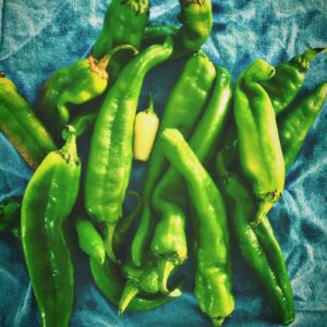 *PREORDER 2026* (XX Hot) "Lumbre" Green Chile - Fresh