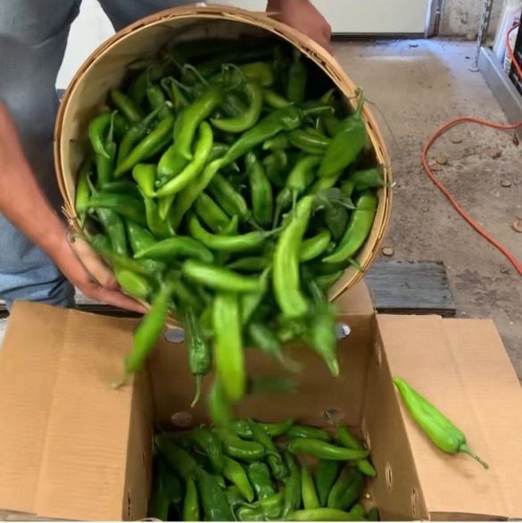 pouring chile